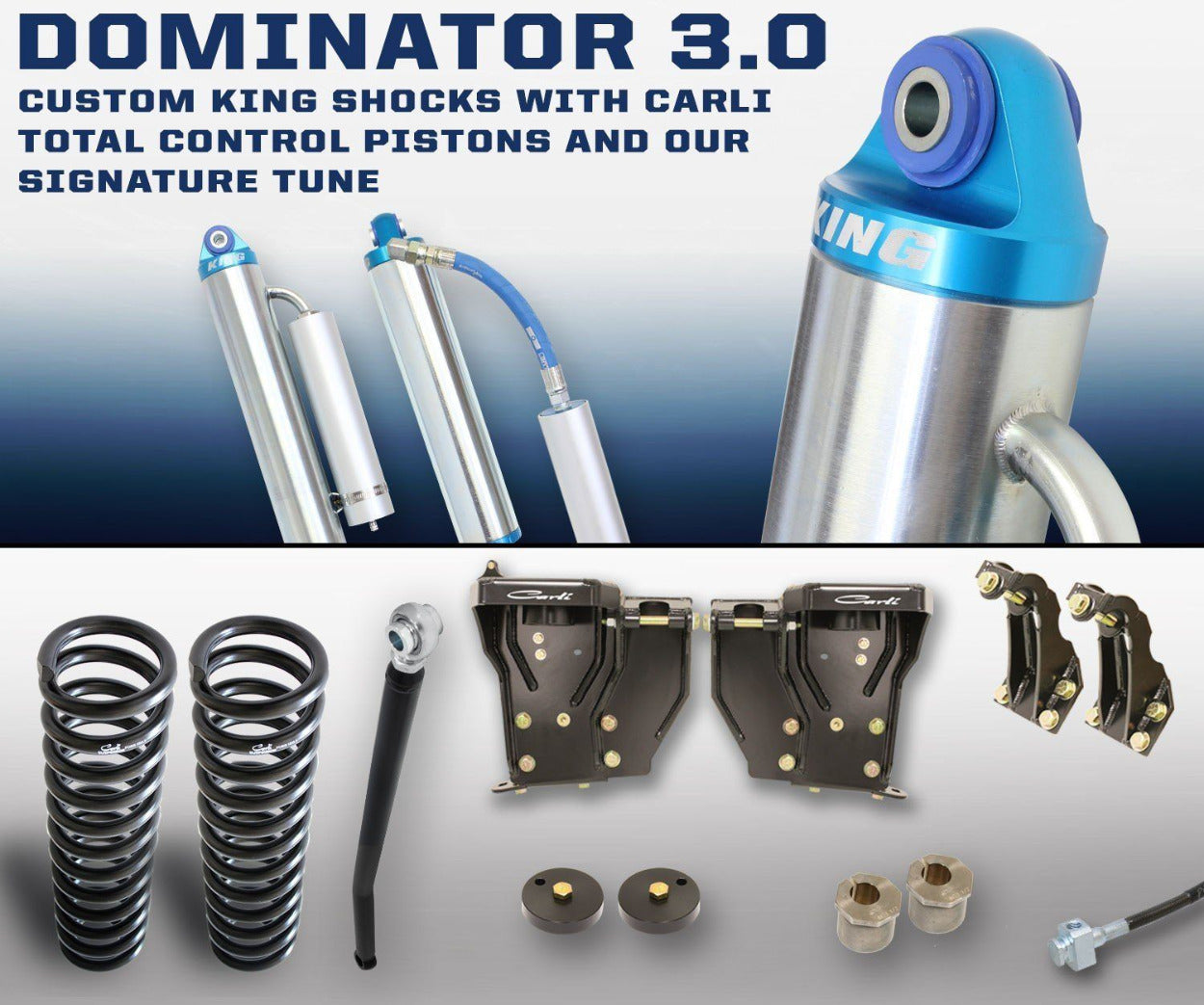 '08-10 Ford F250/350 3.0 Dominator System-2.5" Lift